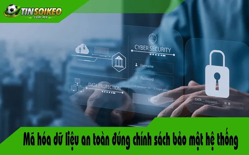 Mã hóa dữ liệu an toàn đúng chính sách bảo mật hệ thống