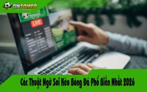Các Thuật Ngữ Soi Kèo Bóng Đá Phổ Biến Nhất 2026